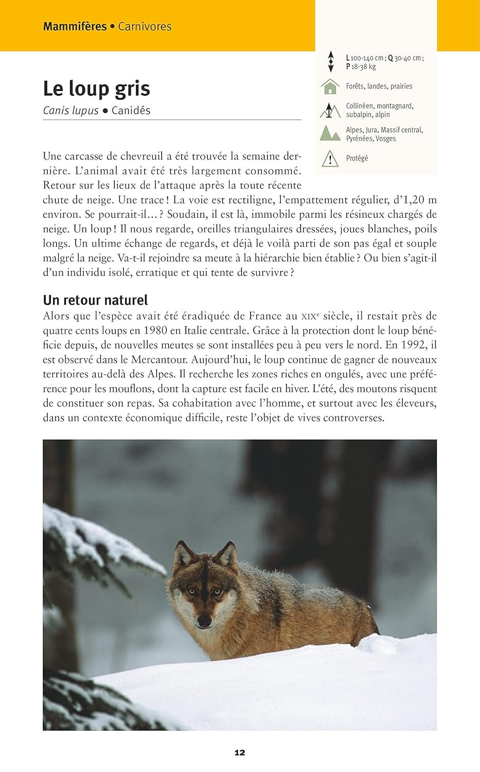 Faune et flore de nos montagnes : Alpes, Corse, Jura, Massif central, Pyrénées, Vosges – Image 4