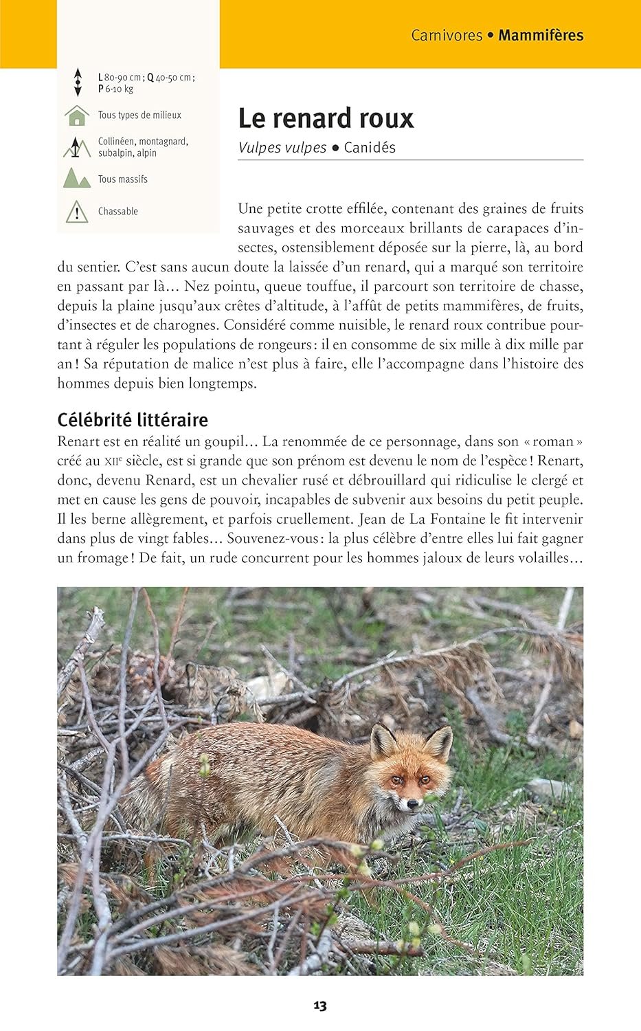 Faune et flore de nos montagnes : Alpes, Corse, Jura, Massif central, Pyrénées, Vosges – Image 5